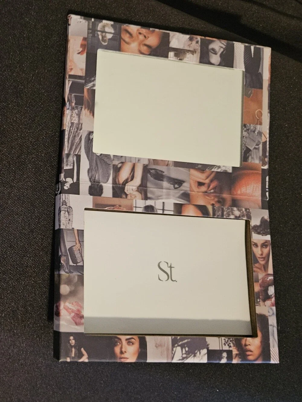 SEINT bundle Two cases One eye shadow and one Blur brush